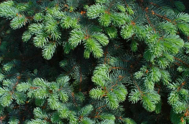 老师拉着我们的小手趟过那条河