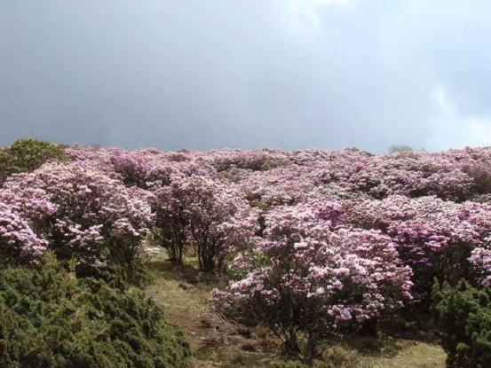 1638859640973303.png image.png