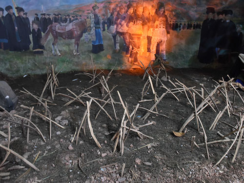 四川小凉山彝族十二兽历占卜法