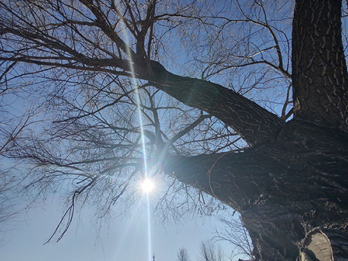 毛裕鹏｜纪念父亲（组诗）