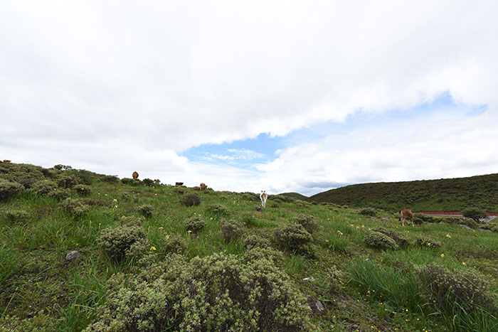 1737212431272820.jpg DSC_4197.jpg