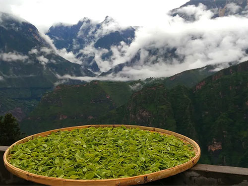 沙马鲁石：绒巴茶·岁月深处的甘醇