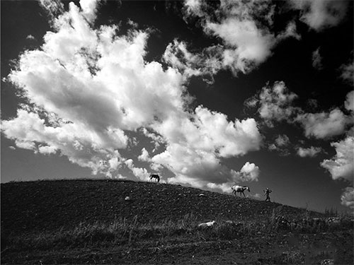 勒俄伍叁：远方没有大凉山