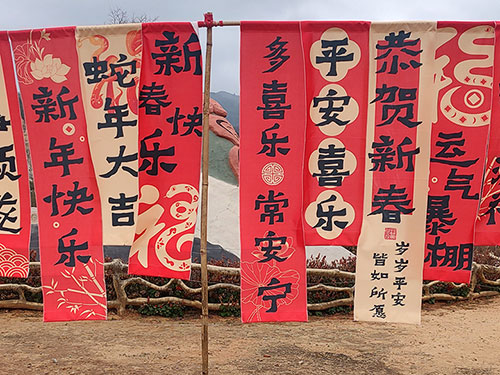 李代珠：祝贺春节申遗成功（新韵）[外一首]