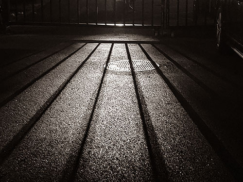 ​管鹏｜灾难启示录：文明的忧思与人性的省察