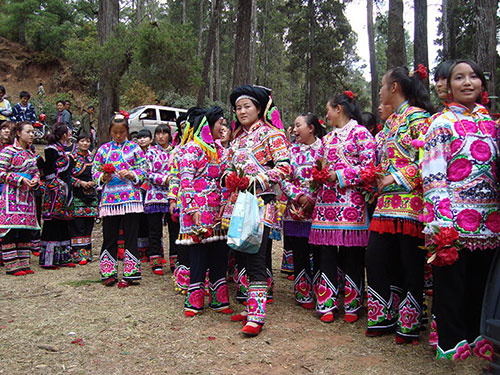 普显宏：插花节散记