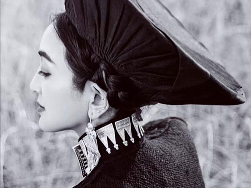 ​龙红紫罗｜七月：让月光住进我的院子