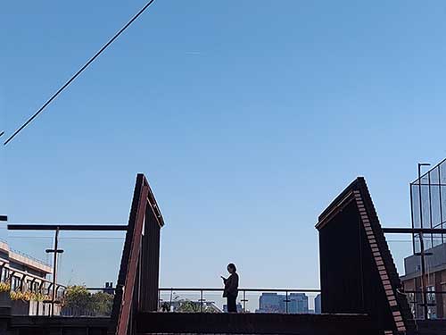 黄发能丨资本之噬（组诗）