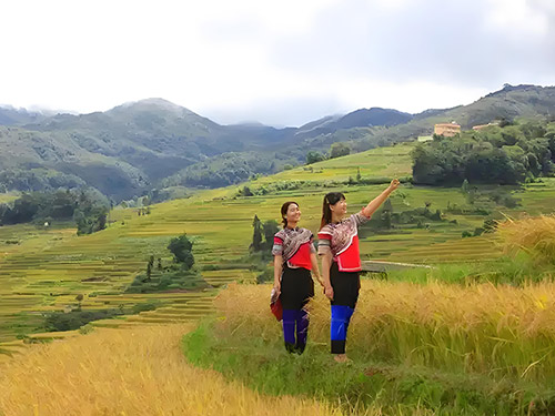 彝家收获的季节——致2025年中国农民丰收节