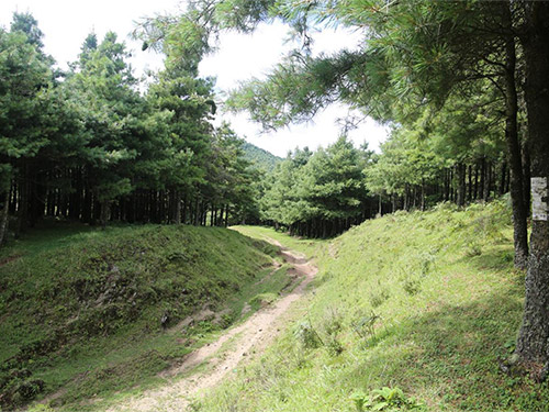 卞育能｜大风垭口有娟秀的草原