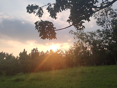 杨正毅｜我的教师情结