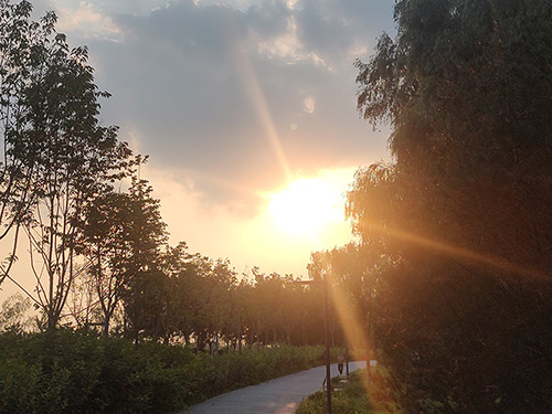 卞育能｜我的小学老师