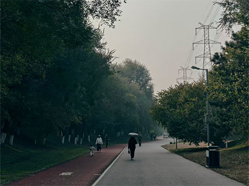 黄发能丨悄然退隐的智者