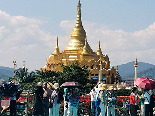 杨正安｜回归线上的传奇与烂漫