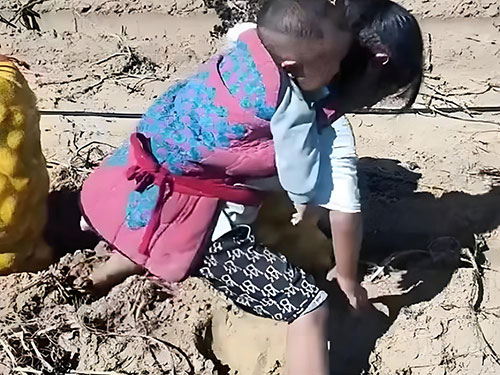 脊背之上的生命重量与文化根脉——论管鹏《姐姐的脊背》的多层意蕴