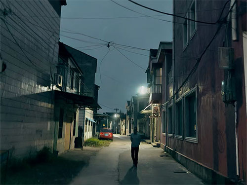 当代彝族女性散文选｜杨格：血脉（外3篇）