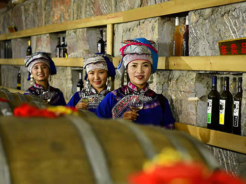 彝族阿哲支系民间传统医药文化传承保护研究