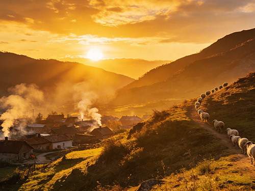 狄惹克古｜归牧