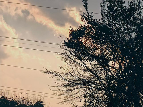 ꇔꇷꀉꃈ/尔古阿木｜ꎭ/苦（彝汉双语散文）